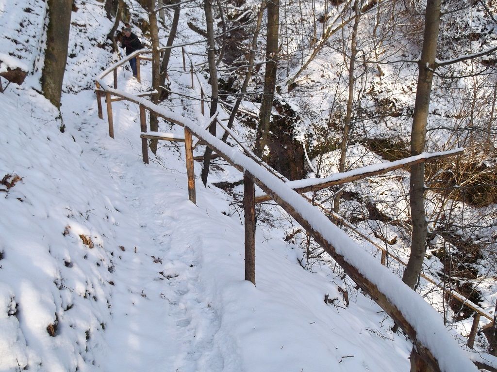 DHW0110.JPG